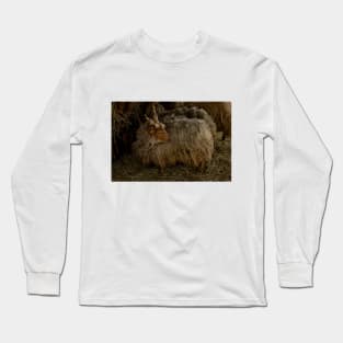 Little Lamb Long Sleeve T-Shirt